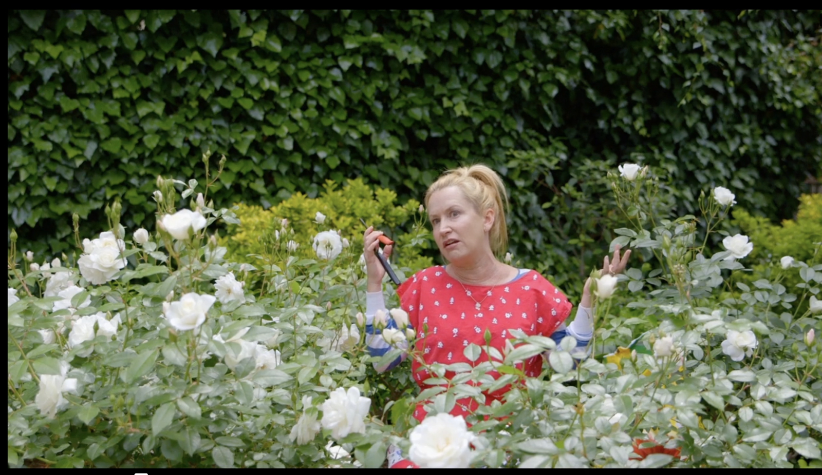 Jim's Mockumentary still 3