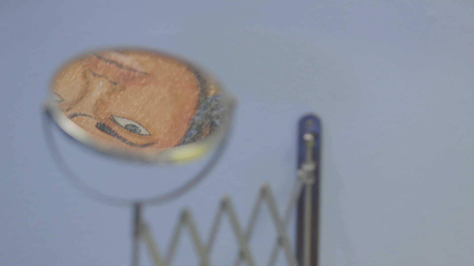 Duck Test still frame