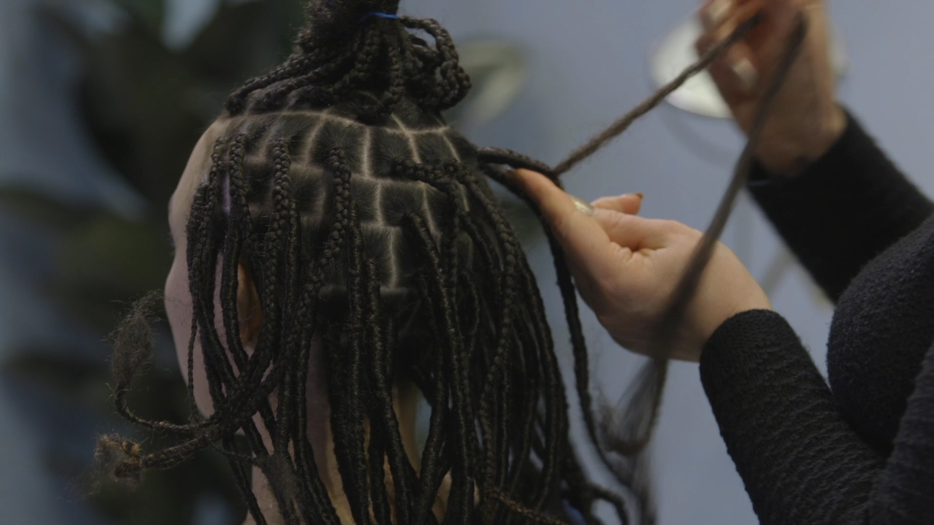 Duck Test still frame